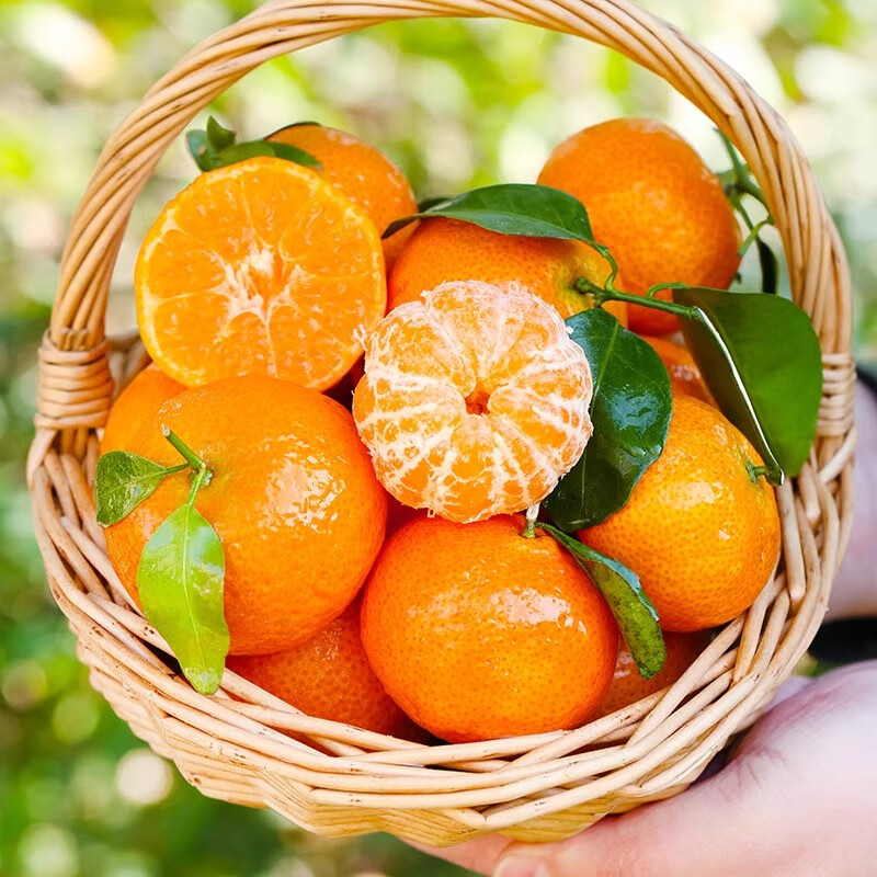 优味集砂糖橘【京东直送】新鲜广西蜜橘金柑橘小金桔子孕妇水果整箱包邮 5斤装 商超级4S大果