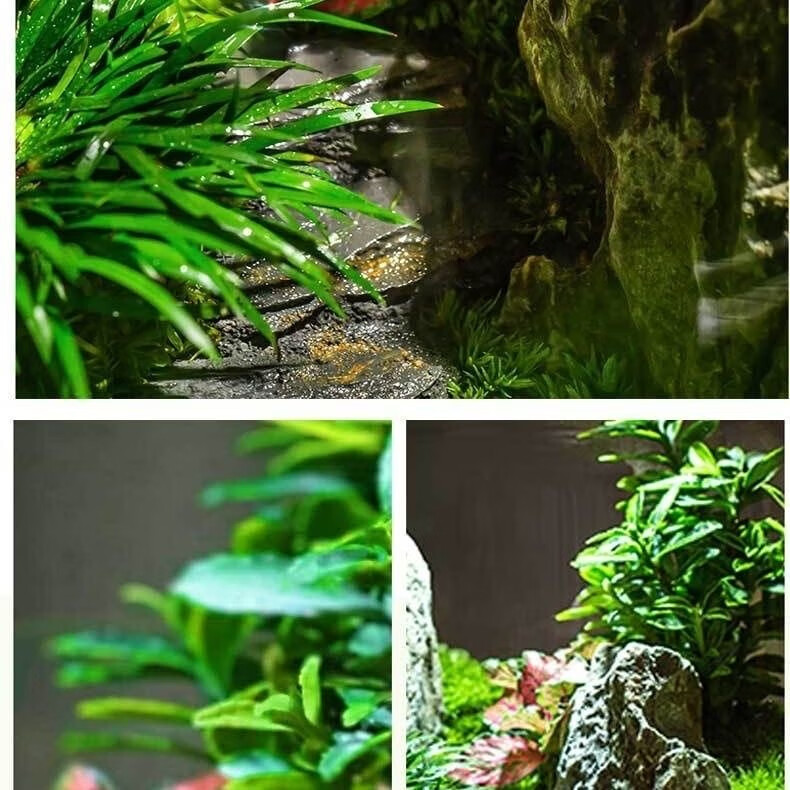 封茗【生命之树】生态瓶苔藓微景观青苔造景缸植物办公室绿植桌面盆栽 步步高升(悟空版)单景观