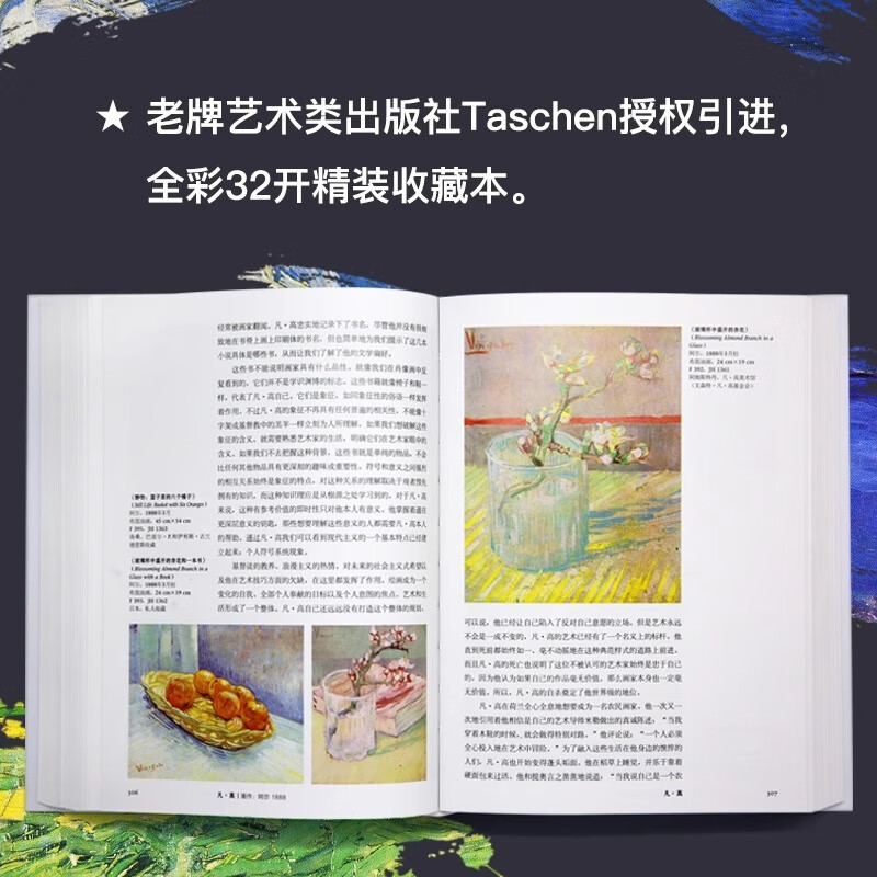 莫奈 +凡高 2本套装 Taschen授权引进中文版 梵高大师画册 艺术绘画 艺术珍藏书 莫奈+凡高【2本】