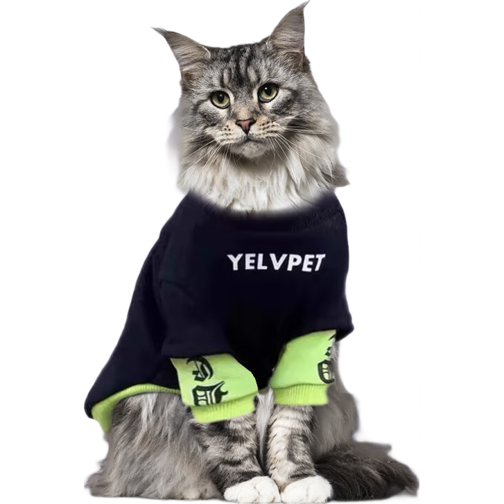 è·è䴩С·רúɫ˧èﶬů  M[Χ40cm]Լ5-7ﴩ