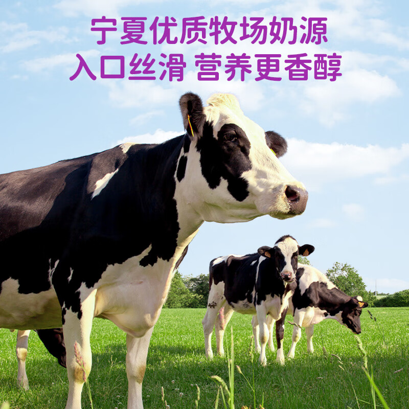 轻上【中秋礼品】简零控茉莉雪芽奶茶饮料整箱批特价0添加蔗糖饮品 西梅多多酸奶饮品220ml*10瓶