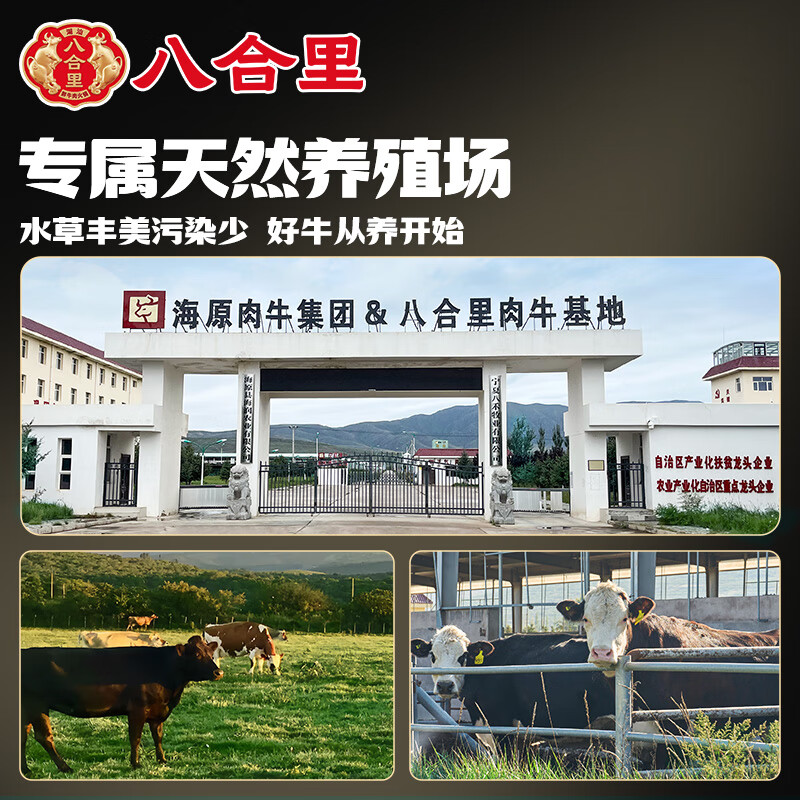 八合里牛肉丸鲜牛肉制作 地道潮味 牛肉含量≥90% 地道潮味 门店口味 牛筋丸两斤装