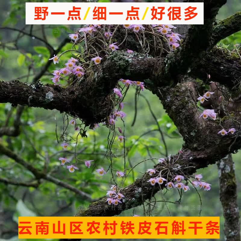 云南山区铁皮石斛干条源头产地铁皮石斛晒干条5年以上石斛条晒干 5年以上石斛条晒干1斤（500克）