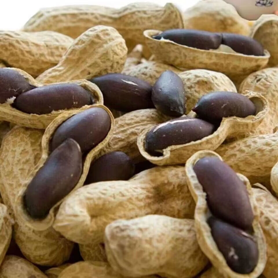 【新货】正宗黑花生带壳生吃云南特产新鲜晒干新货富硒黑花生 精选农家带壳自产黑花生 老品种独粒黑花生 回甘味更好 1斤