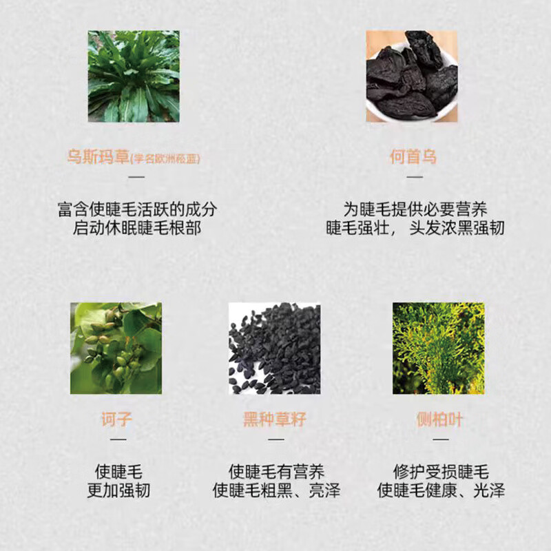 乌斯曼草新疆乌斯玛草棒何首乌侧柏叶营养浓密睫毛笔精华液非生长液增长液 一盒装