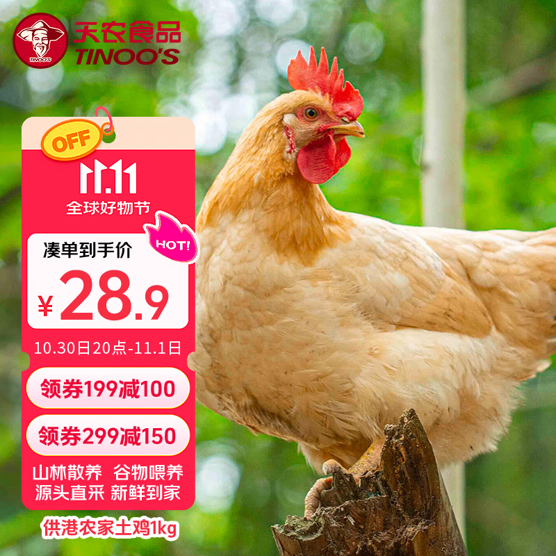 天农 供港农家土鸡 1kg 山林散养清远走地鸡整鸡肉 冷冻 红烧煲汤食材
