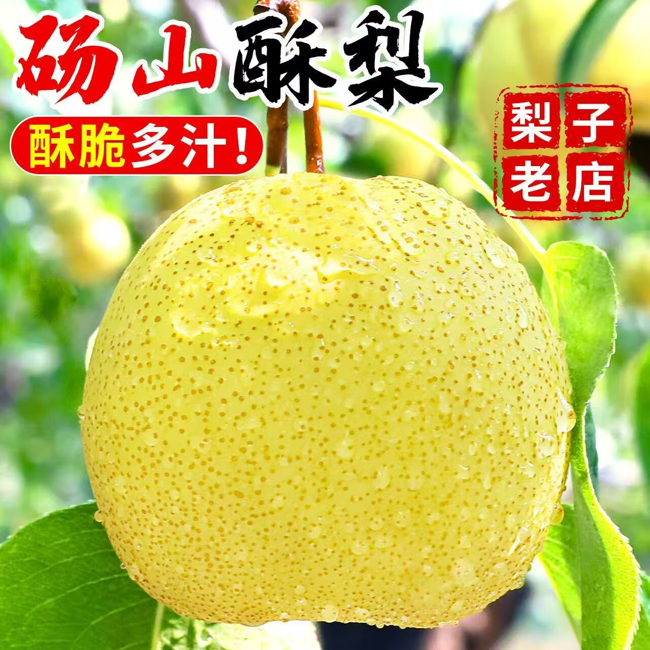 ����������ɽ����ժ�����֭ˮ�������ز������������۶�֭ �����ʴ��桿����4.8-5��