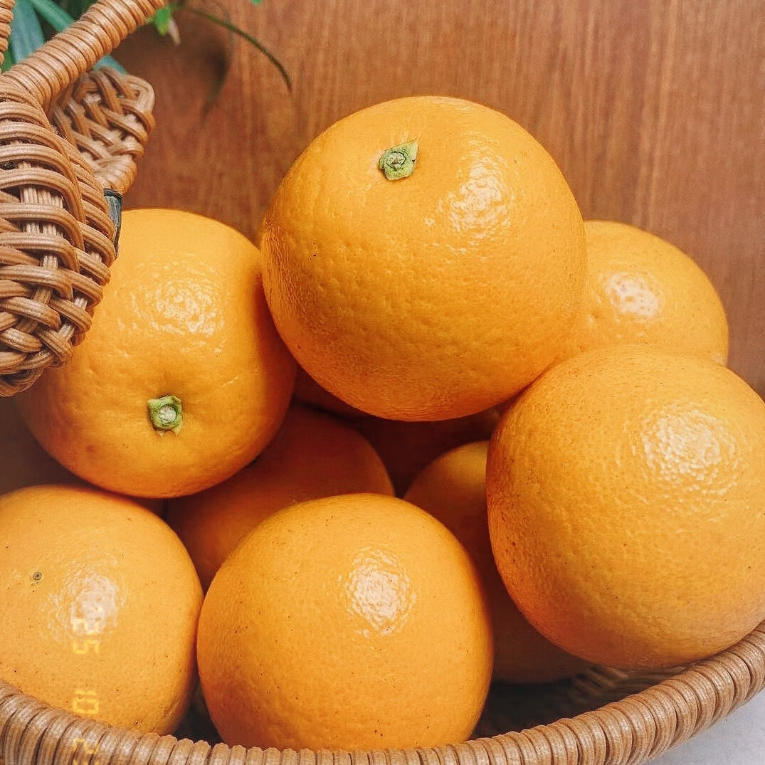 沣御园湖南怀化麻阳冰糖橙 当季整箱果冻甜橙手剥橙新鲜橙子水果 4.5斤大果果径约60-65mm