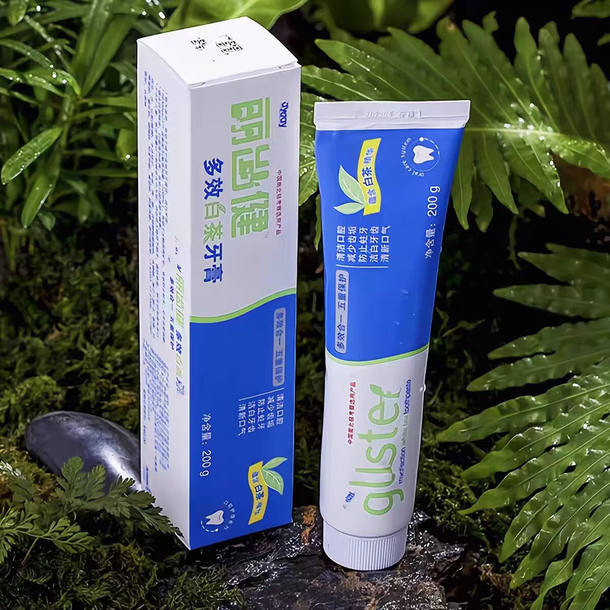 安利(Amway)牙膏丽齿健多效白茶薄荷香含氟清新家庭装200g白茶 白茶1支