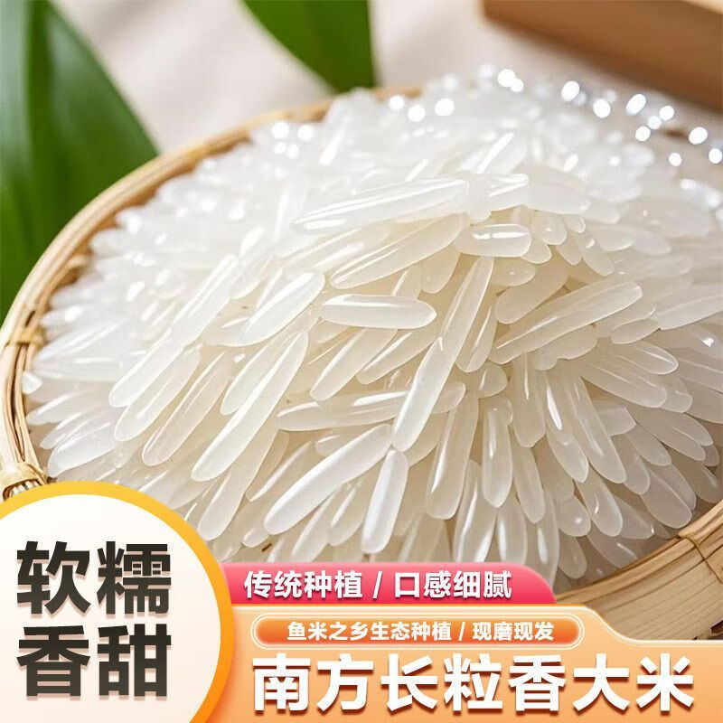 猫牙米一级大米优质南方米当季新米正宗丝苗米长粒香大米煲仔饭 正宗猫牙米1斤*1袋
