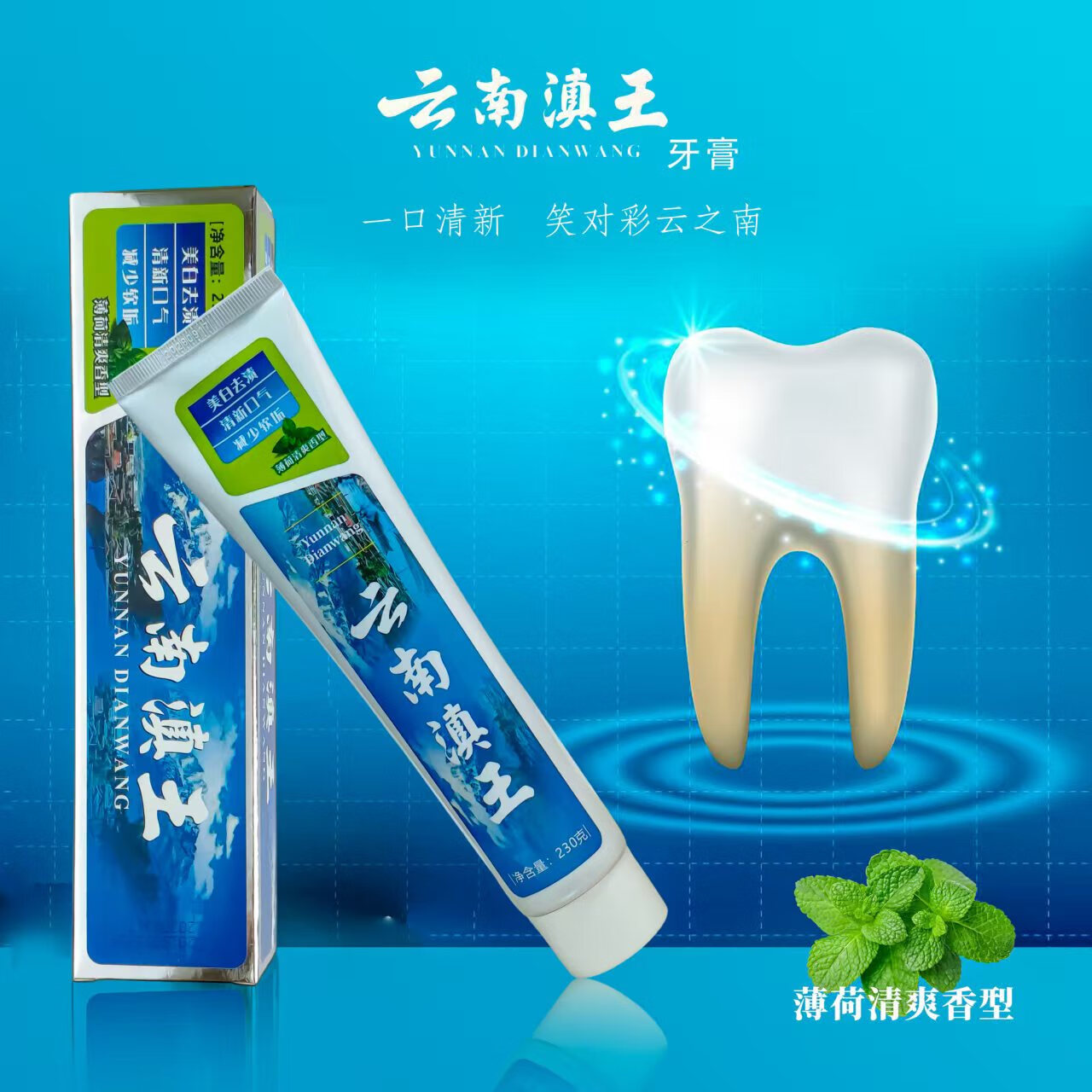 滇王云南滇王清爽薄荷香型牙膏 230克1支