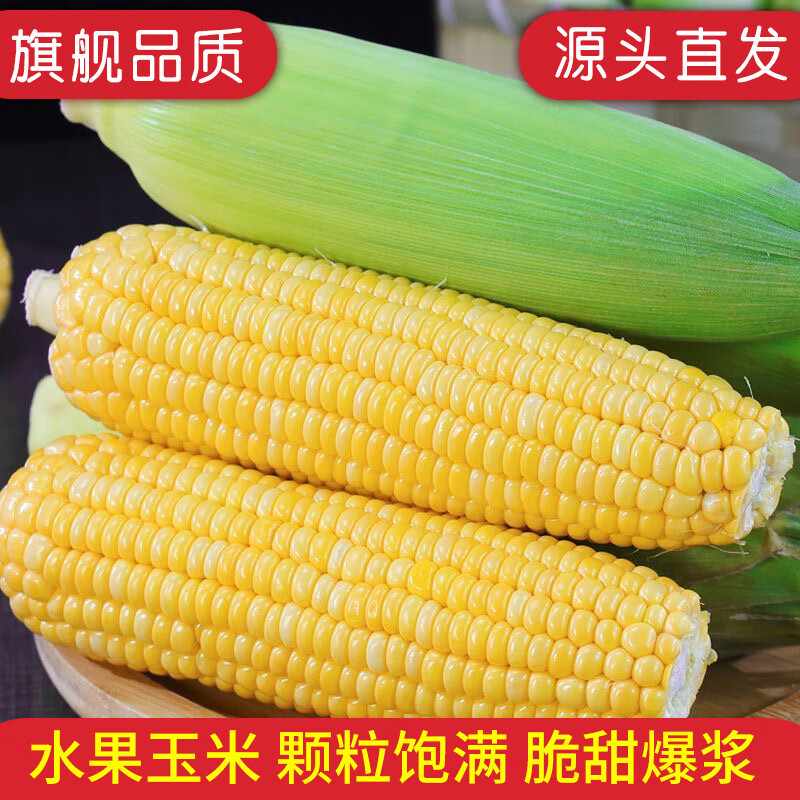 16.9元 云南水果玉米新鲜采摘 4.5斤装 折3.7元/斤，颗粒饱满 脆甜爆浆！ - 线报酷