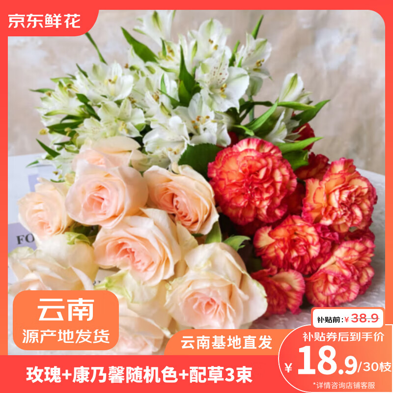 京东鲜花玫瑰10枝+随机色康乃馨10枝送配草3束鲜花节日礼物源头直发