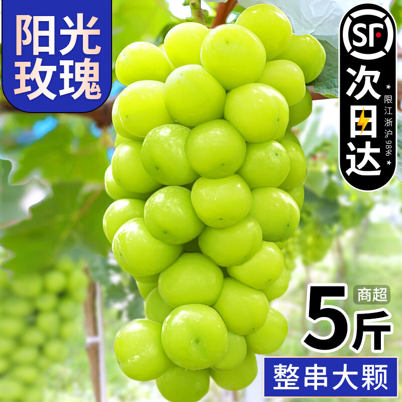 正鲜季（ZHENGXIANJI）阳光玫瑰礼盒葡萄晴王新鲜水果顺丰送礼无籽香印提子整箱 2斤 6-8g