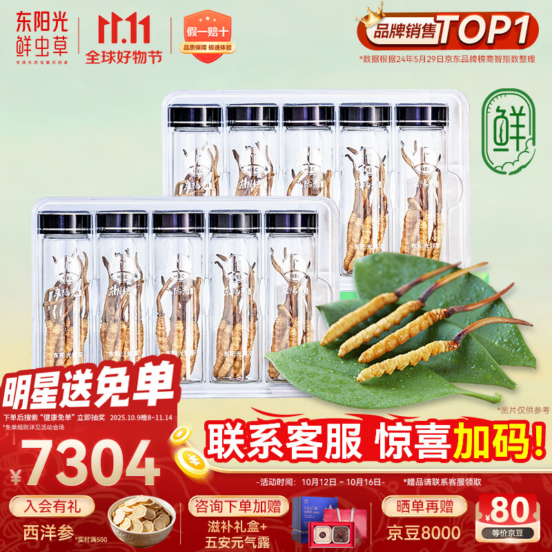 东阳光鲜虫草0.4-0.6g/根100根新鲜冬虫夏草补品送长辈老人源头直发包邮