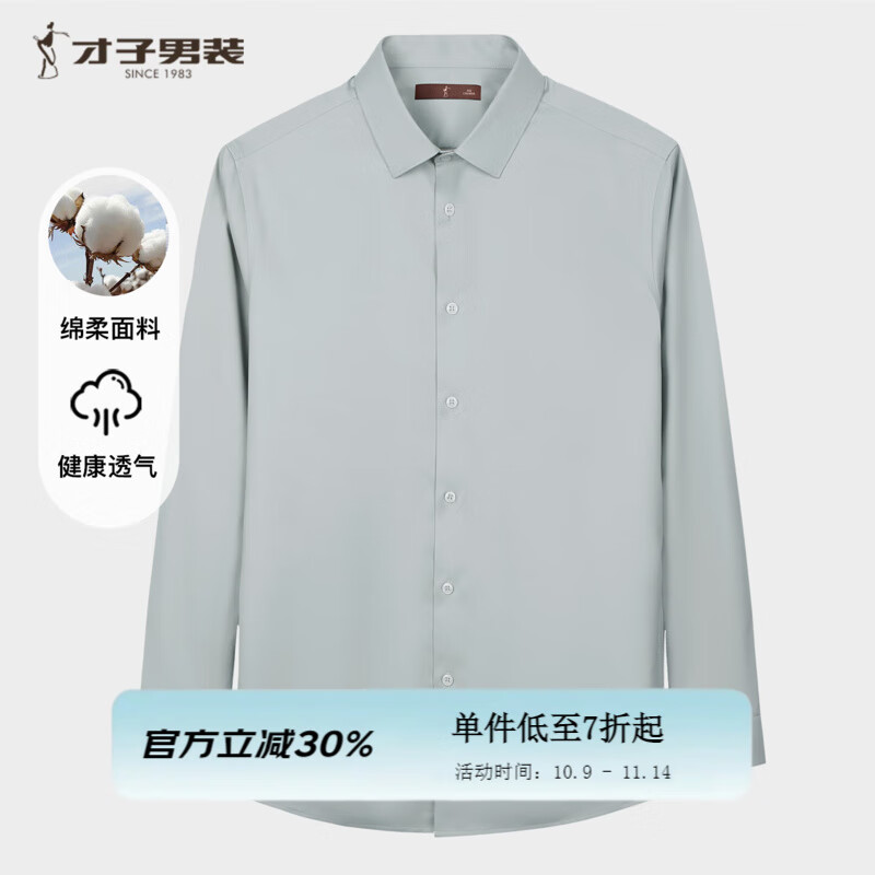 才子（TRIES）优质棉感男士长衬衫柔软顺滑挺括有型商务休闲职业男衬衣 灰绿色 XL 40(175/92A)