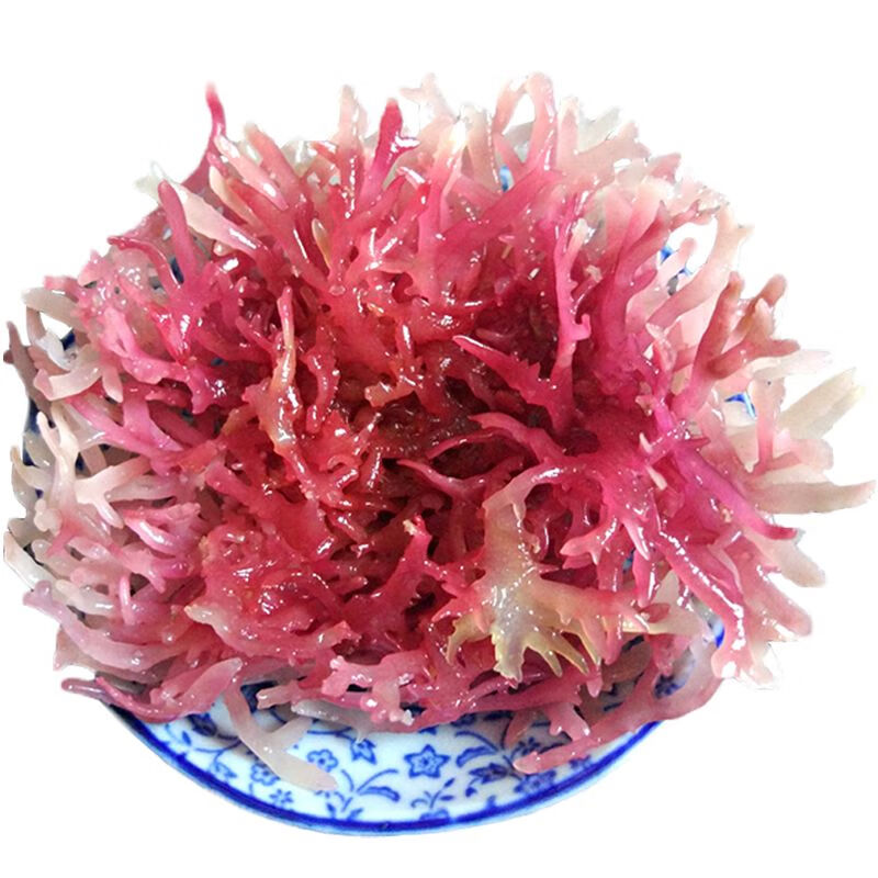 笙茸新晒石花菜500g血珊瑚海燕窝海石花鹿角菜龙角菜龙须菜干货红