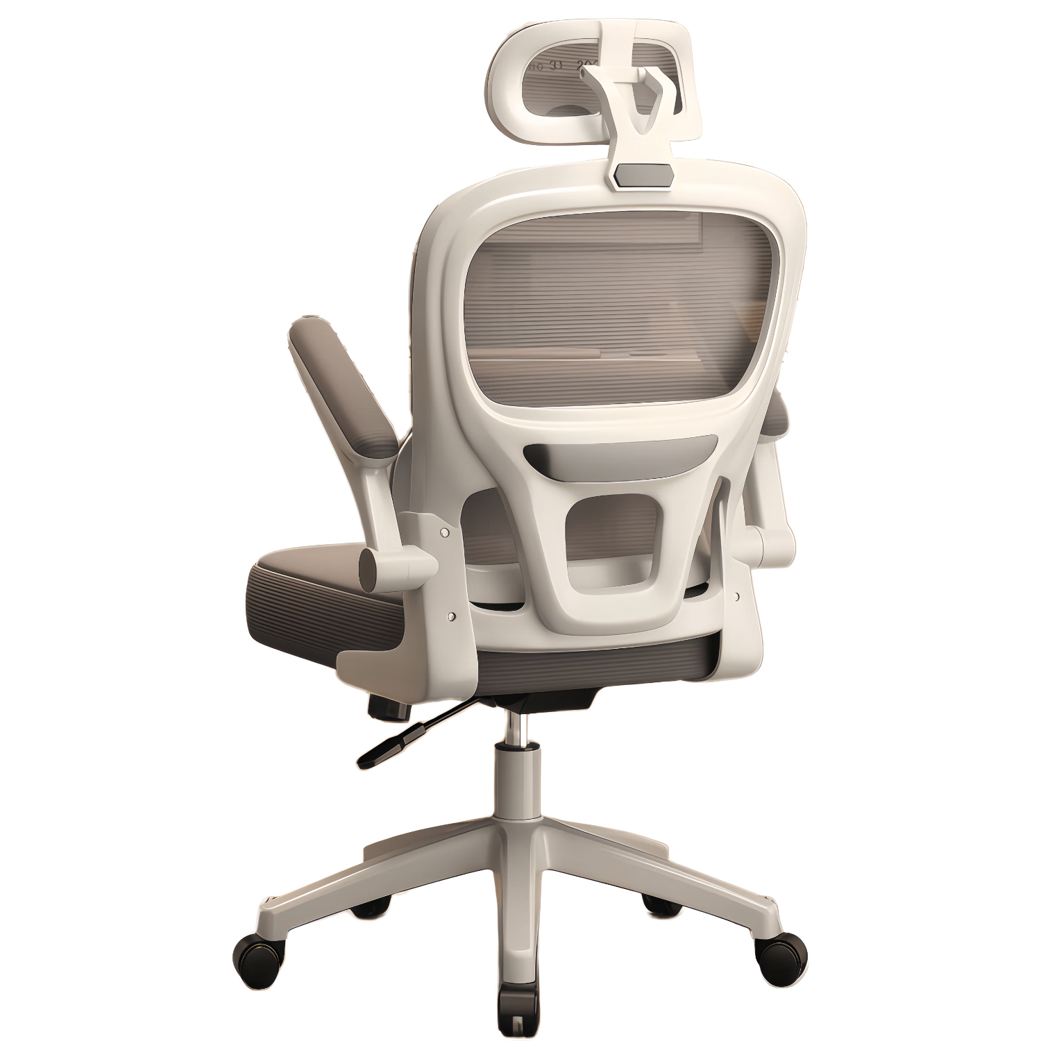 ҫ�� ���幤ѧ�ε����� ��������+ͷ�� �齺�� �������칫��134.3Ԫ