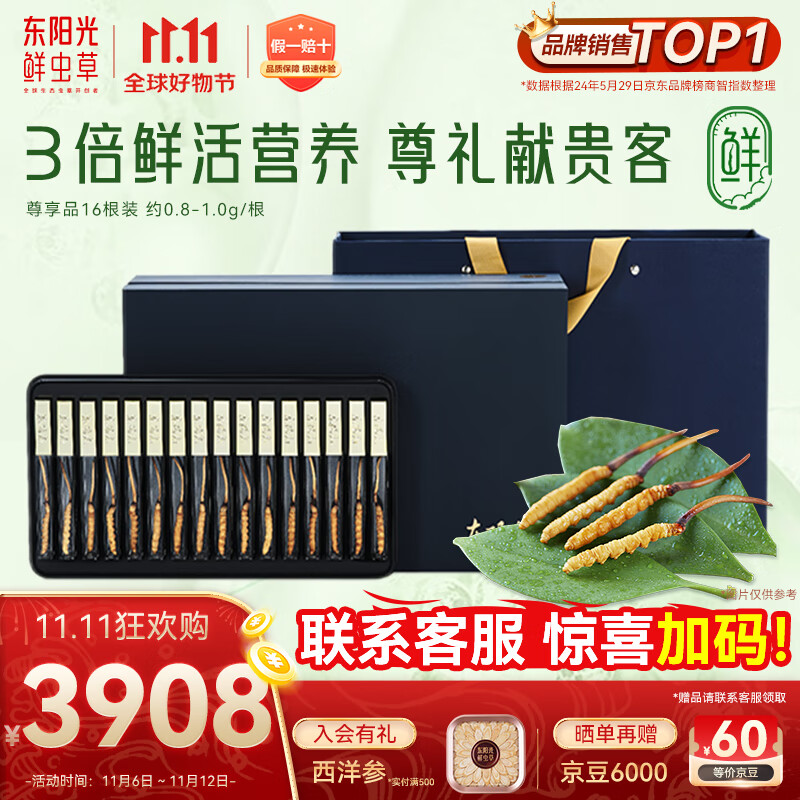 东阳光鲜虫草0.8-1g/根16根新鲜冬虫夏草补品送长辈老人源头直发包邮