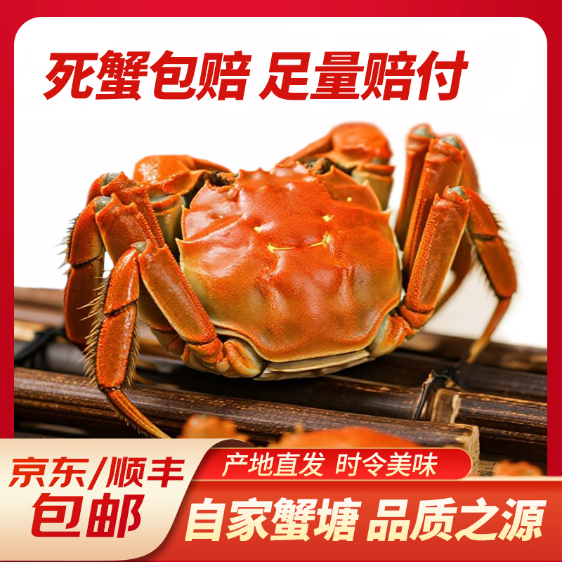 【活蟹-网兜装】蟹趣鲜活大闸蟹包邮到家网兜装 网兜2斤装公母混搭10-15只