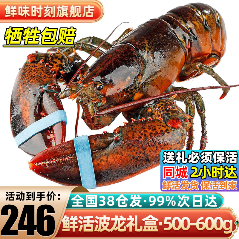 ζʱ̡-ʿϺʻϺдϺϺ۲ 500-600g/ֻ*1ֻأ