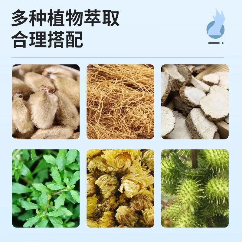 葵花苍耳子鼻舒膏护鼻凝胶鼻炎膏婴幼儿鼻塞堵舒鼻膏成人通气鼻神器 苍耳子鼻贴12贴*1盒