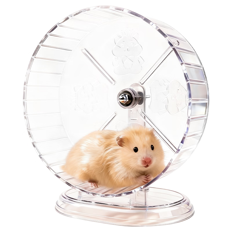 ���ڲ������ȿ��� ��������+֧�ܰ���������һ�����ֽ�˿���˶������Ʒ͸��ɫ24cm 49.9Ԫ