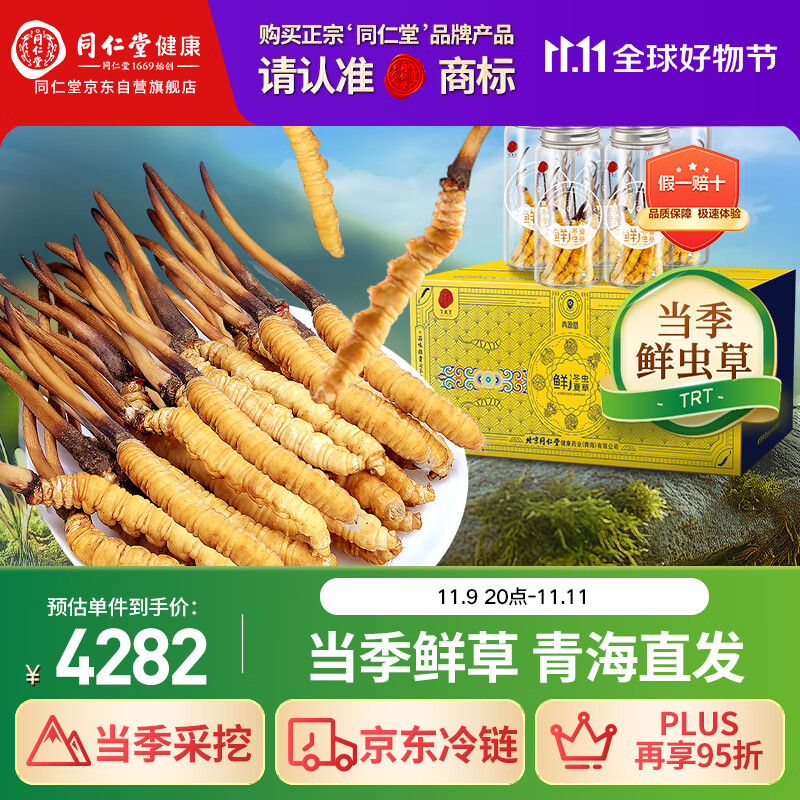 同仁堂（TRT）品牌 新鲜虫草0.81-1.0克/条50条装 鲜虫草青海源头直发包邮