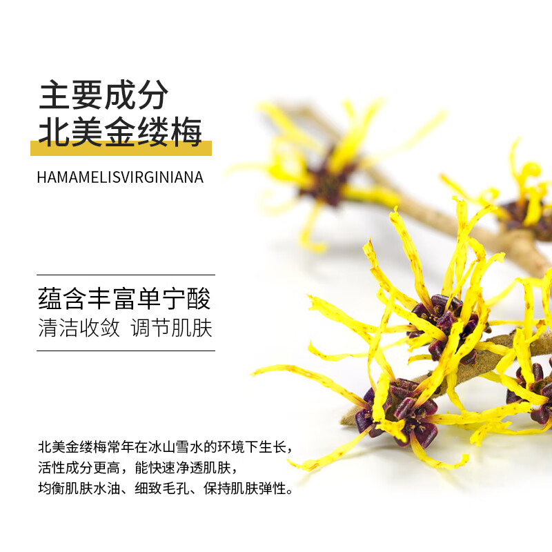 金缕梅美国进口接骨木金盏花爽肤水保湿水化妆水护肤 全新包装升级 新款金缕梅接骨木300ml