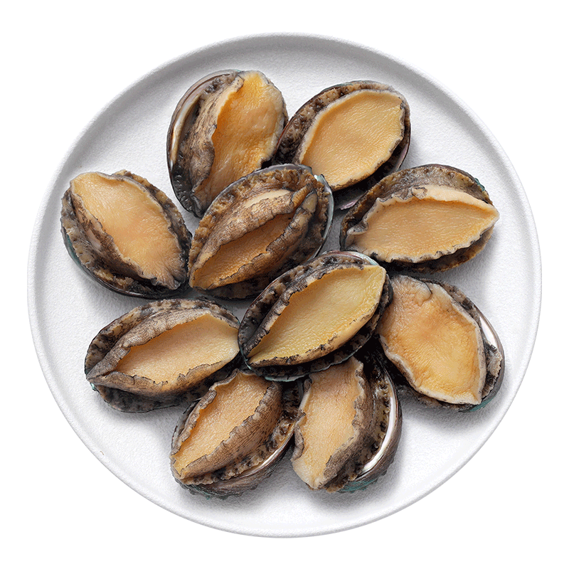 黄小渔冷冻大鲍鱼 净重400g/10粒 新鲜鲍鱼肉火锅食材烧烤 海鲜年货送礼