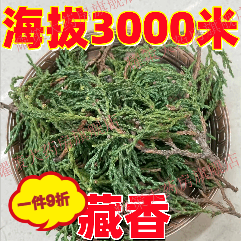 藏香柏 正宗新鲜秘境藏香独特天然植物净化香薰松柏香香藏 高原藏 200g[西域藏香]可用1月