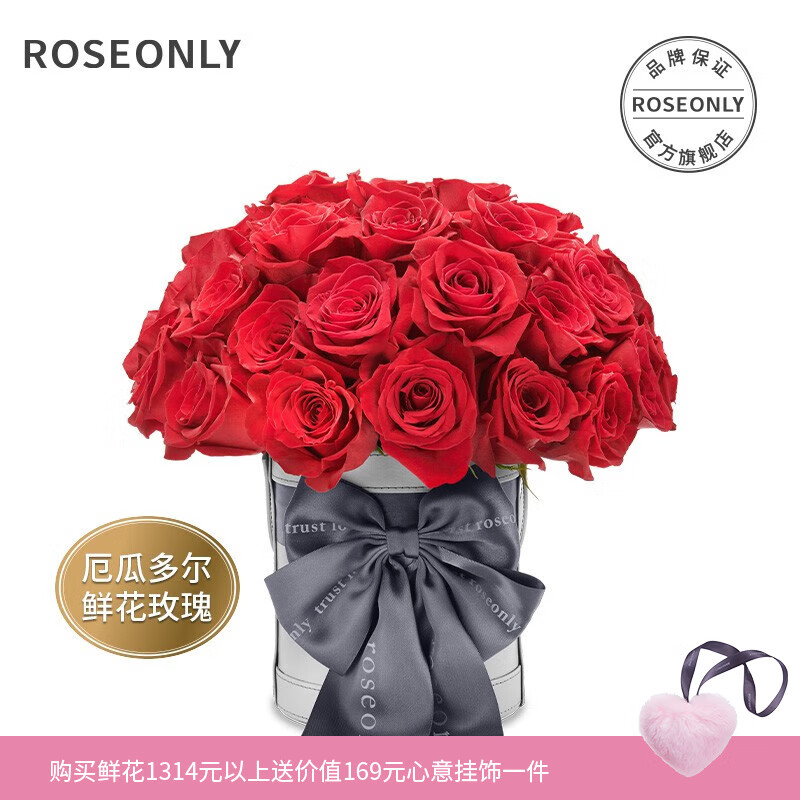 ROSEONLY諾誓鮮花速遞鮮花玫瑰愛(ài)在滿(mǎn)懷花桶送女友生日告白情人節(jié)禮物 愛(ài)在滿(mǎn)懷-花桶-25枝-朱砂