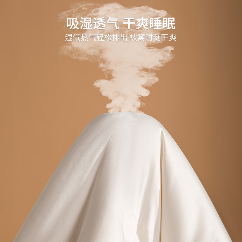 新疆棉花被子春秋被冬被棉被加厚保暖冬季纯棉里外全棉被芯单双人 里外全棉-本白【100%新疆一级长绒棉】 150*200cm 【夏被-室温25°C以上】