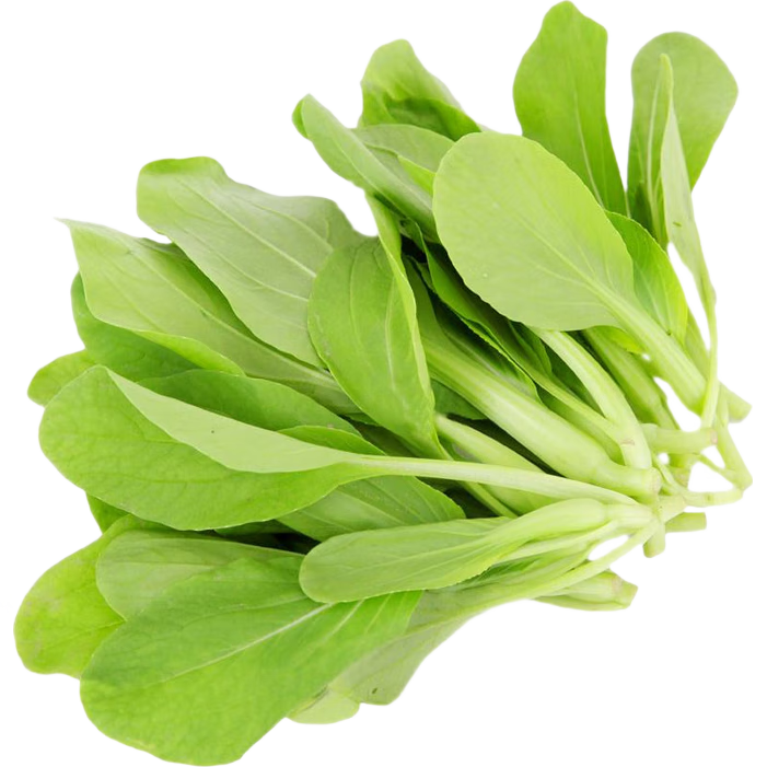 �߲����Ӵ�ȫɽ���ٹ����Ѵ����ļ����Բ�ݮ�Ͳ˲������˰ײ���� �ʺ����Ϻ���ë������10��(Լ3000��)