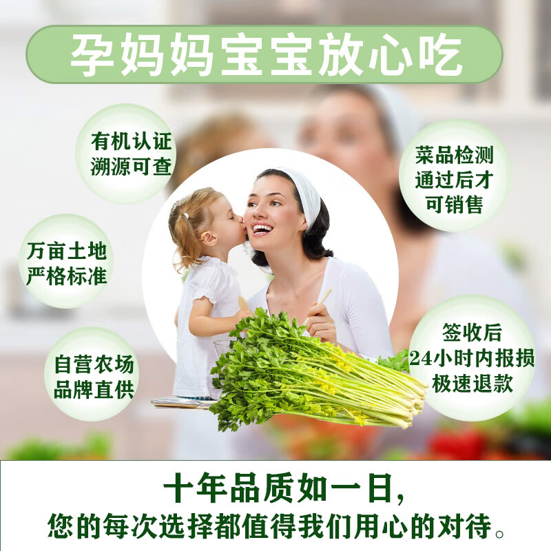 采芹轩【平度馆】马家沟芹菜青岛特产新鲜蔬菜空心嫩黄菜芯生鲜有机蔬菜 2斤经典玻璃脆菜芯【含手提袋】