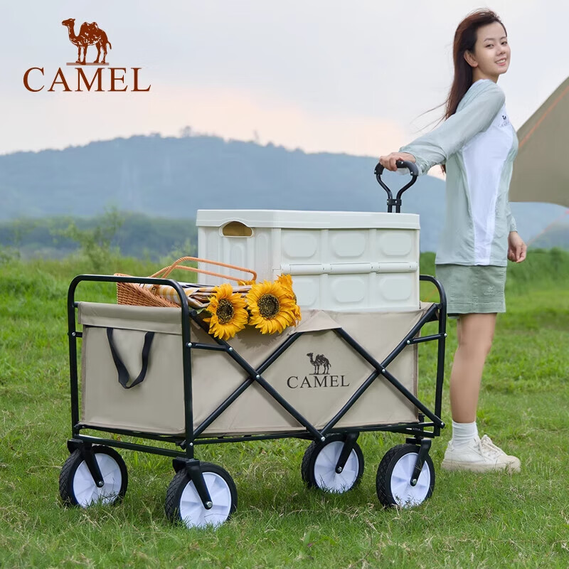 CAMEL¶ӪӪس۵޹Ƴȡ