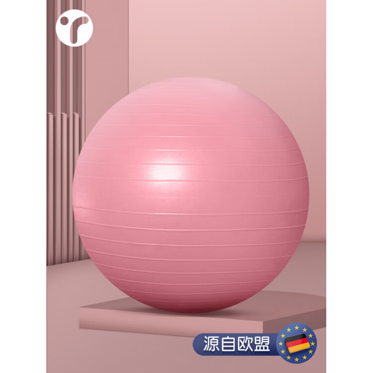 英瑞特瑜伽球健身球大彈力健身運(yùn)動器材球練瑜伽大龍球孕婦專用助產(chǎn) 莫奈粉加厚防爆 55cm (身高150-160cm)