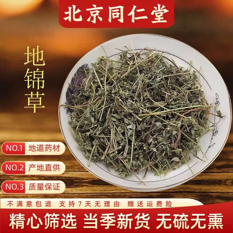 通用地锦草中药材新鲜血见愁奶汁草正宗斑地锦草干货泡茶泡水喝