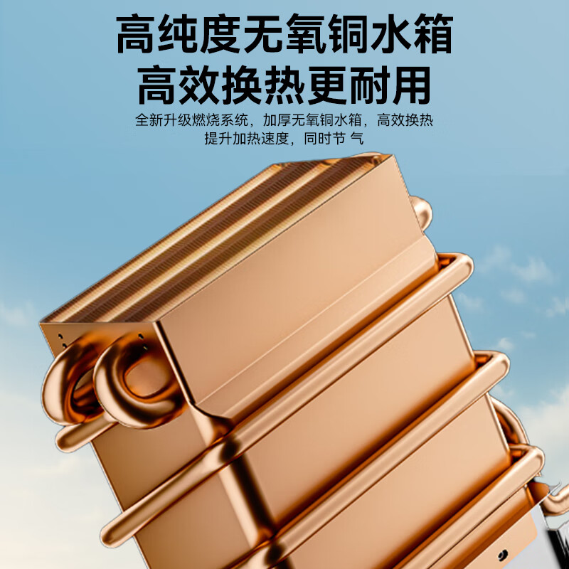 荣事达【免费上门安装】燃气热水器一级能效家用冷凝式 智能四分段燃烧恒温 星空灰钢化玻璃 天然气款 16L 【超一级能效】冷凝节能+净水浴+四分段燃烧