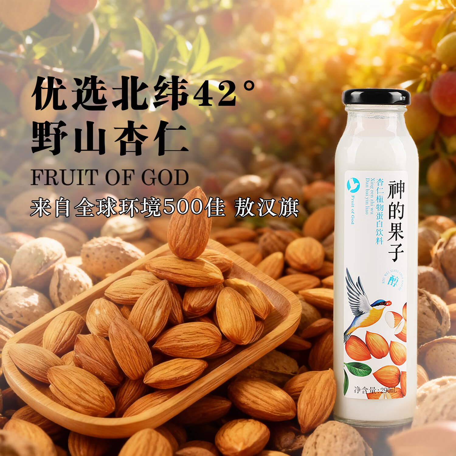 沙漠之花内蒙神的果子年货杏仁乳饮料8瓶杏仁植物蛋白聚会饮料礼盒礼品装 290ml*8瓶