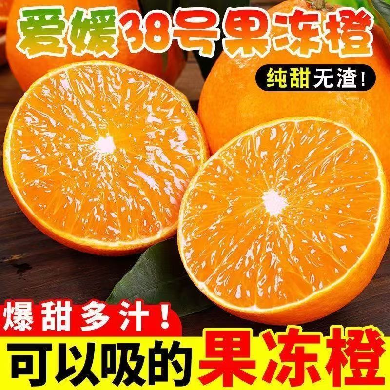 绿水秦川正宗四川爱媛38号果冻橙柑橘子当季新鲜水果爆汁果冻橙生鲜整箱 净重4.5-5斤特选装 单果约为60mm+