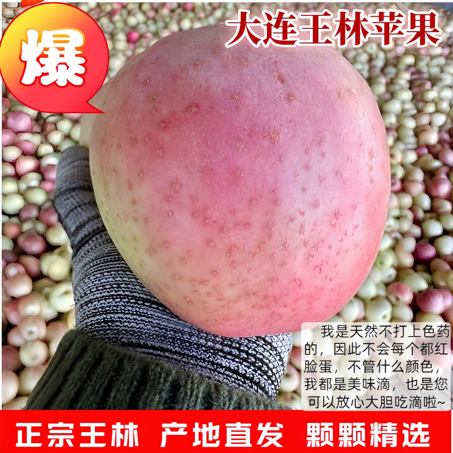 鲜姿 正宗大连王林苹果青森麻脸美人贵妃礼盒黄苹果生鲜孕妇新鲜水果 净重4.5斤小果70mm-74mm