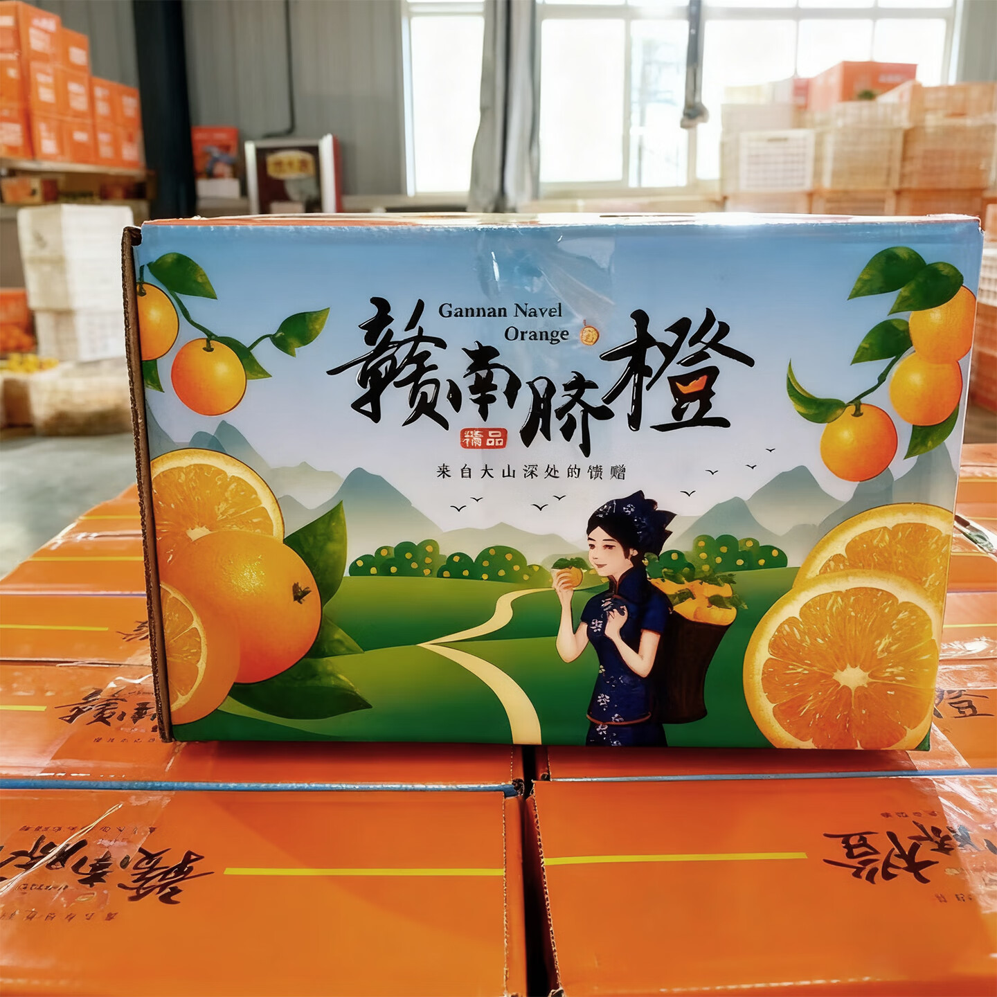 江西源头赣南脐橙现摘新鲜香甜多汁水果节日送礼+源头直发包邮 5斤 70-75mm精品赣南果园直发