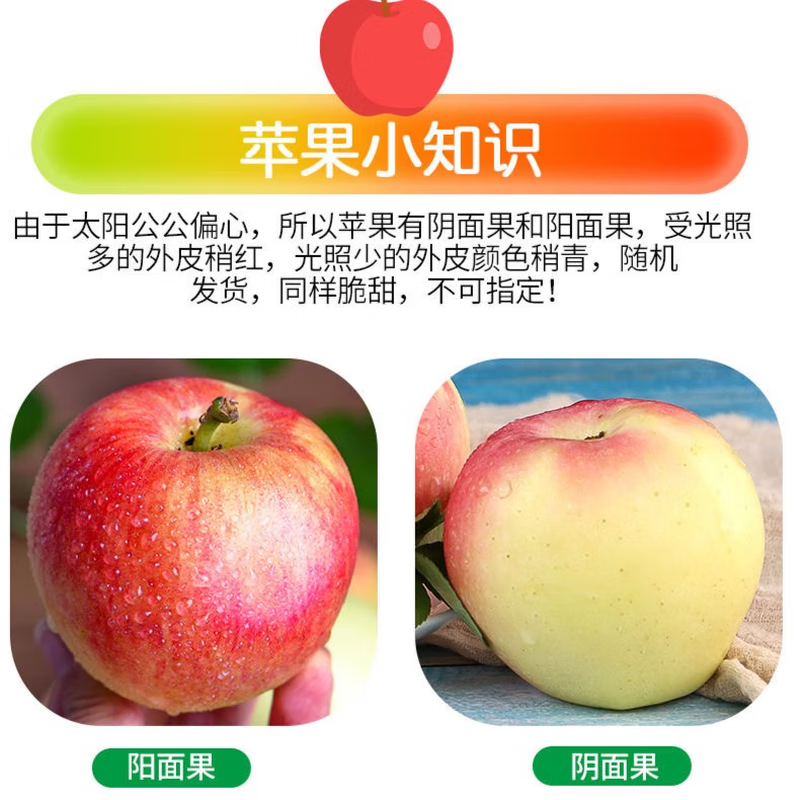 绿熊庄园正宗天然冰糖心山西丑苹果新鲜现摘脆甜多汁应季水果 送礼推荐 【回购爆款红富士】 单果75mm+ 净重8.5-9.5斤