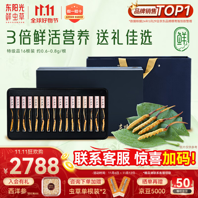 东阳光鲜虫草0.6-0.8g/根16根新鲜冬虫夏草补品送长辈老人源头直发包邮