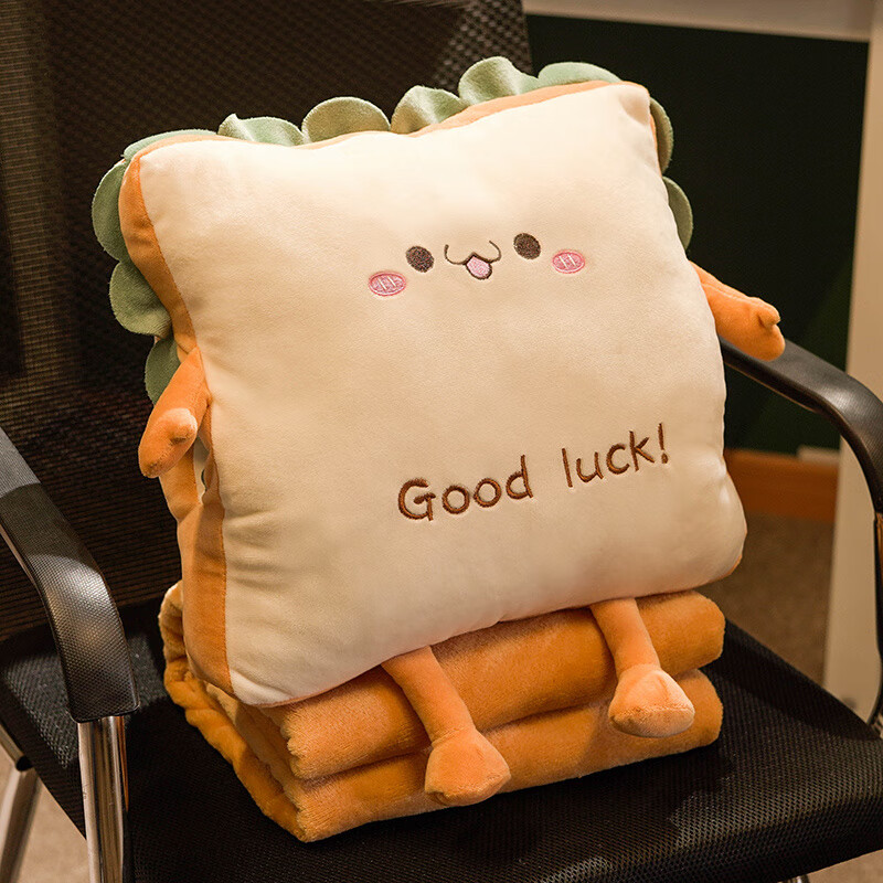 胖東来品质抱枕被子两用新款办公室暖手午睡神器枕头车用睡觉女生 可爱款 100cm*170cm 法兰绒毯子+午睡枕