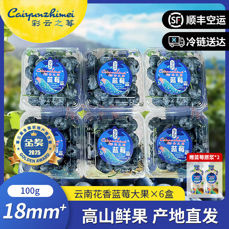 彩云之莓【云南露天花香蓝莓】云南蓝莓脆甜新鲜现摘产地直发水果 六盒装（家庭分享 热卖爆款）80%选择100g/盒 20-21mm+(精选特大果王 ）