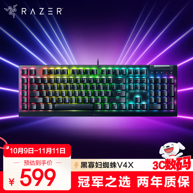 雷蛇（Razer）黑寡妇蜘蛛V4 X   游戏机械键盘 RGB背光 电竞游戏 绿轴