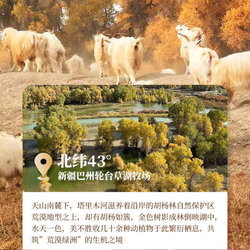 丝路四季有机小山羊 冰碴驹俐 羊肉礼盒 新疆有机羊肉 有机认证 新疆冰碴驹俐礼盒装10斤