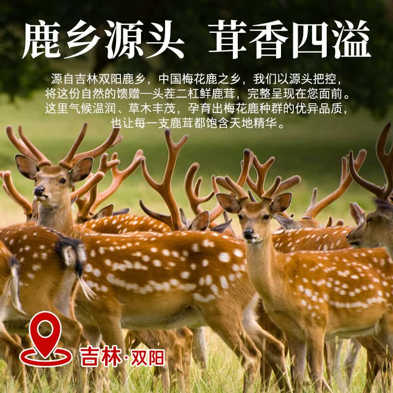 敖东梅花鹿鲜鹿茸片50克 新鲜带血煲汤泡酒男性养生滋补品泡酒料